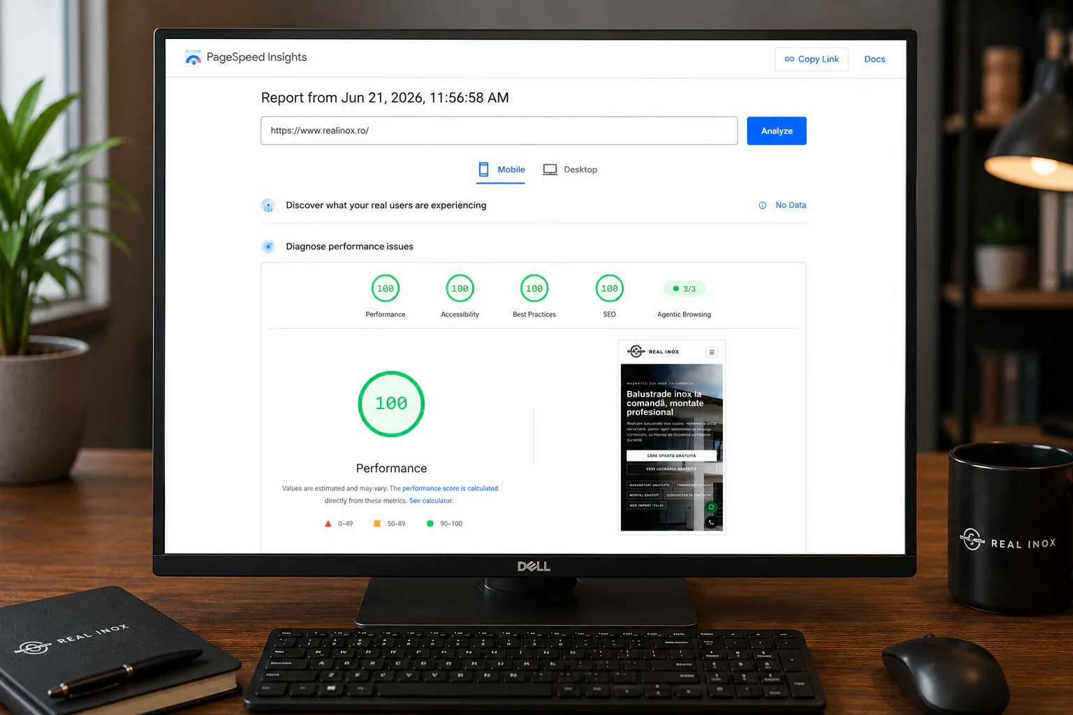 PageSpeed mobil RealInox.ro performanță 100 pentru site responsive